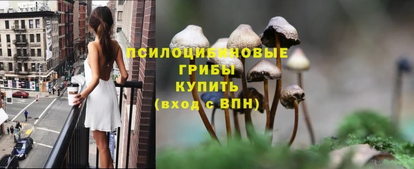 бутират Аркадак